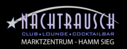 logo_nachtrausch2